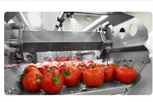 QQ截图20251107115004