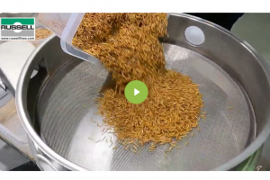 QQ截图20251204133205 QQ截图20251204133205